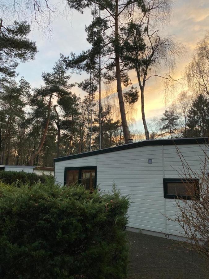 Hotel Sfeervolle Chalet Op De Veluwe In Hoenderloo Exteriér fotografie
